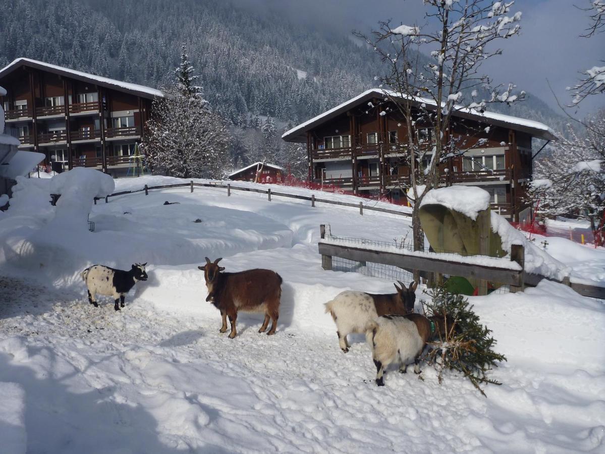 Reka-Feriendorf Lenk Hotel Exterior photo